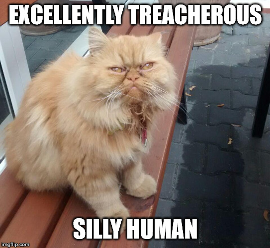 Excellently Treacherous | EXCELLENTLY TREACHEROUS; SILLY HUMAN | image tagged in excellently treacherous | made w/ Imgflip meme maker