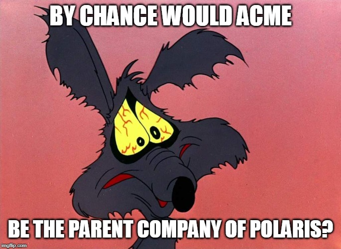 BY CHANCE WOULD ACME; BE THE PARENT COMPANY OF POLARIS? | image tagged in wile e coyote | made w/ Imgflip meme maker
