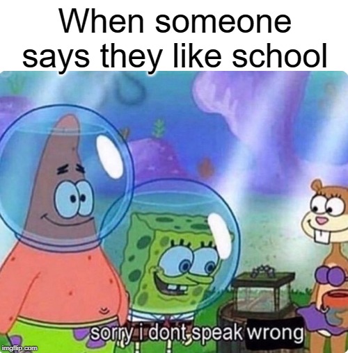 school suck | When someone says they like school | image tagged in sorry i don't speak wrong,gay,funny,memes,school | made w/ Imgflip meme maker