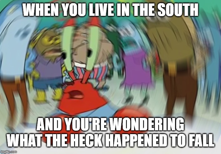 We had summer, now it's winter. What the heck, Southeast America?! | WHEN YOU LIVE IN THE SOUTH; AND YOU'RE WONDERING WHAT THE HECK HAPPENED TO FALL | image tagged in memes,mr krabs blur meme,south,south east,weather,cold | made w/ Imgflip meme maker