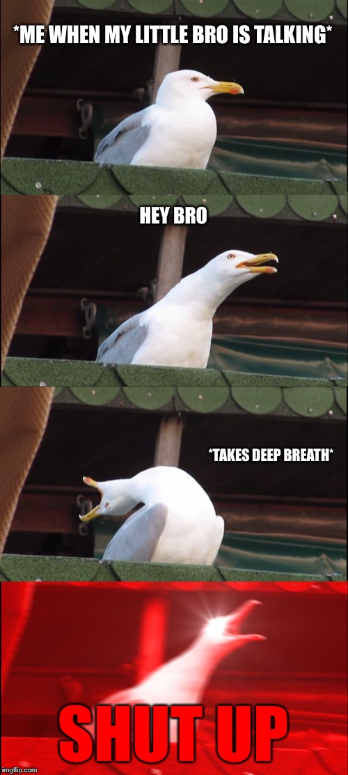 Inhaling Seagull | *ME WHEN MY LITTLE BRO IS TALKING*; HEY BRO; *TAKES DEEP BREATH*; SHUT UP | image tagged in memes,inhaling seagull | made w/ Imgflip meme maker