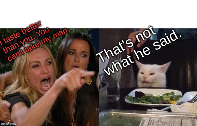 Woman Yelling At Cat | I taste better than you. You can't take my man; That's not what he said. | image tagged in memes,woman yelling at cat | made w/ Imgflip meme maker