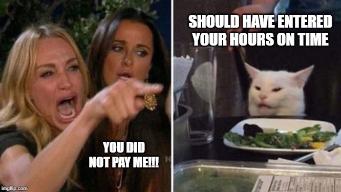 SHOULD HAVE ENTERED YOUR HOURS ON TIME; YOU DID NOT PAY ME!!! | image tagged in funny cats,woman yelling at a cat | made w/ Imgflip meme maker
