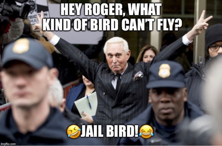 Roger Stone Found Guilty! | image tagged in roger stone,trump associate,guilty,jailbird,donald trump,drain the swamp | made w/ Imgflip meme maker
