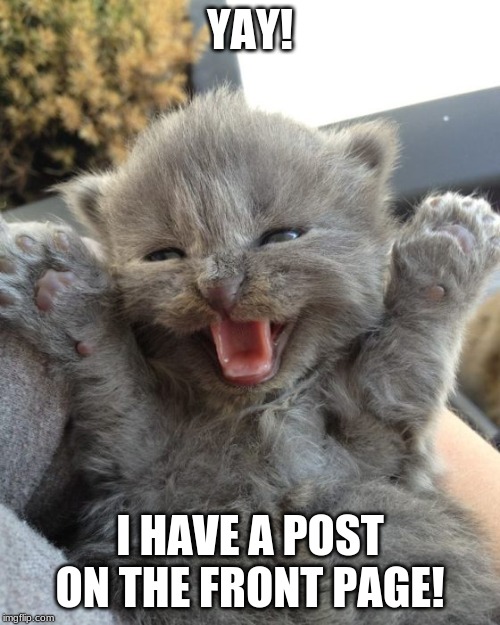 Yay Kitty | YAY! I HAVE A POST ON THE FRONT PAGE! | image tagged in yay kitty | made w/ Imgflip meme maker