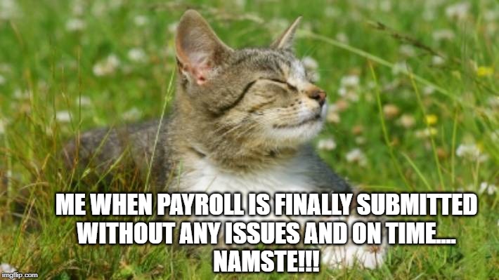 ME WHEN PAYROLL IS FINALLY SUBMITTED WITHOUT ANY ISSUES AND ON TIME....
NAMSTE!!! | image tagged in cats,timesheet reminder | made w/ Imgflip meme maker