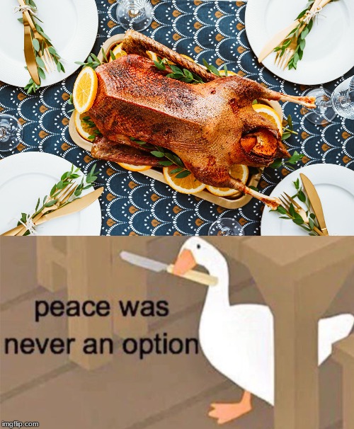 image tagged in untitled goose peace was never an option | made w/ Imgflip meme maker