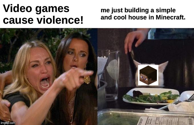 Woman Yelling At Cat | Video games cause violence! me just building a simple and cool house in Minecraft. | image tagged in memes,woman yelling at cat | made w/ Imgflip meme maker