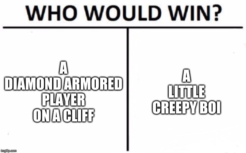 Who Would Win? | A DIAMOND ARMORED PLAYER ON A CLIFF; A LITTLE CREEPY BOI | image tagged in memes,who would win | made w/ Imgflip meme maker