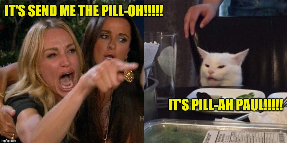 Woman yelling at cat | IT'S SEND ME THE PILL-OH!!!!! IT'S PILL-AH PAUL!!!!! | image tagged in woman yelling at cat | made w/ Imgflip meme maker