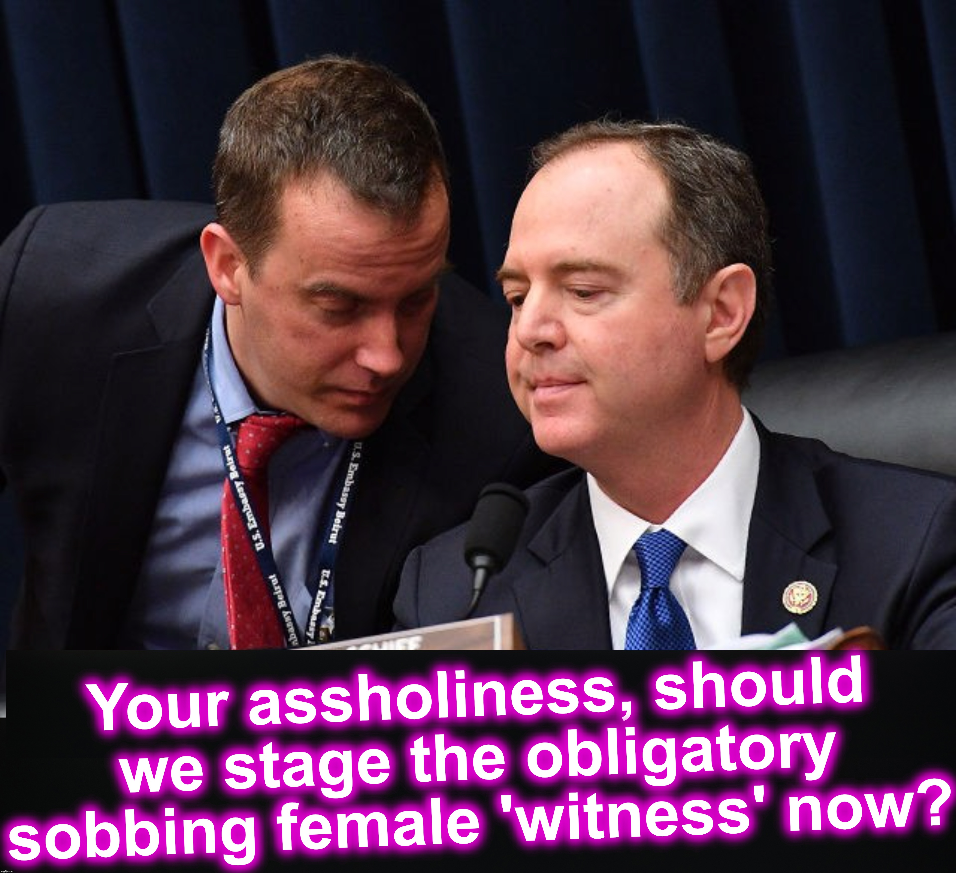Your assholiness, should we stage the obligatory sobbing female 'witness' now? | image tagged in adam schiff and aide | made w/ Imgflip meme maker
