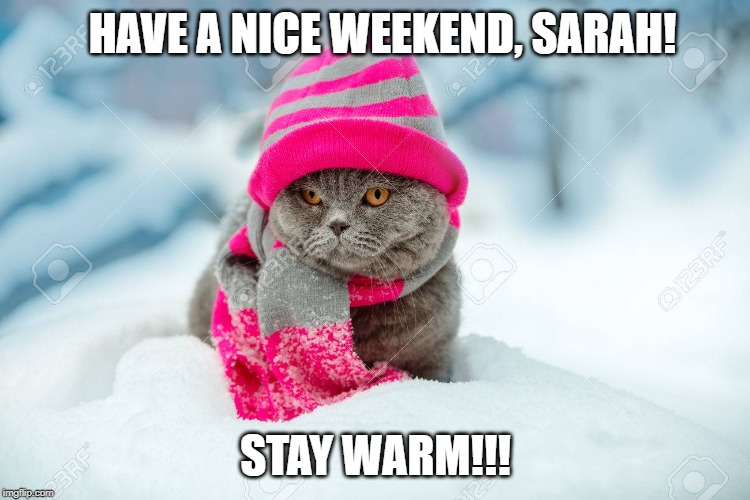 Have a nice weekend. | HAVE A NICE WEEKEND, SARAH! STAY WARM!!! | image tagged in cats,winter,cold | made w/ Imgflip meme maker