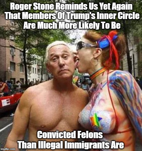 Roger Stone: Yet Another Convicted Felon In Trump's Inner Circle | Roger Stone Reminds Us Yet Again That Members Of Trump's Inner Circle Are Much More Likely To Be Convicted Felons Than Illegal Immigrants | image tagged in trump,felon | made w/ Imgflip meme maker