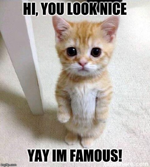 Cute Cat Meme | HI, YOU LOOK NICE YAY IM FAMOUS! | image tagged in memes,cute cat | made w/ Imgflip meme maker