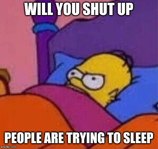 angry homer simpson in bed | WILL YOU SHUT UP PEOPLE ARE TRYING TO SLEEP | image tagged in angry homer simpson in bed | made w/ Imgflip meme maker