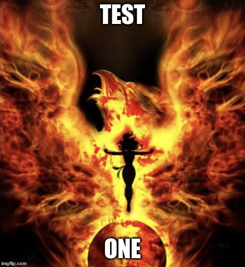 Phoenix,!! | TEST; ONE | image tagged in phoenix | made w/ Imgflip meme maker
