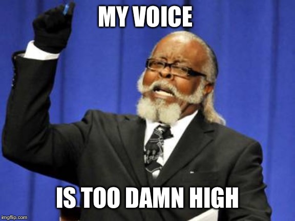 Too Damn High | MY VOICE; IS TOO DAMN HIGH | image tagged in memes,too damn high | made w/ Imgflip meme maker