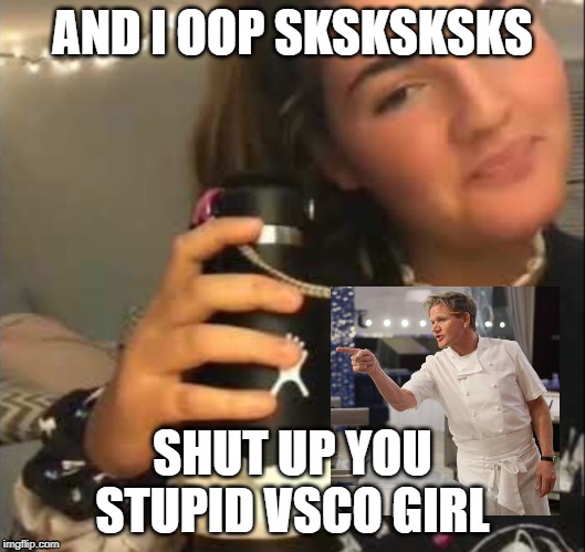VSCO girl | AND I OOP SKSKSKSKS; SHUT UP YOU STUPID VSCO GIRL | image tagged in vsco girl | made w/ Imgflip meme maker