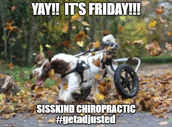 Yay! It's Friday!! | YAY!!  IT'S FRIDAY!!! SISSKIND CHIROPRACTIC; #getadjusted | image tagged in yay it's friday | made w/ Imgflip meme maker