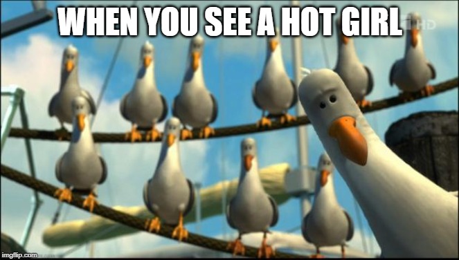 Nemo Seagulls Mine | WHEN YOU SEE A HOT GIRL | image tagged in nemo seagulls mine | made w/ Imgflip meme maker