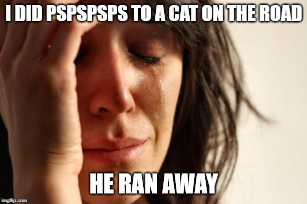 First World Problems Meme | I DID PSPSPSPS TO A CAT ON THE ROAD HE RAN AWAY | image tagged in memes,first world problems | made w/ Imgflip meme maker