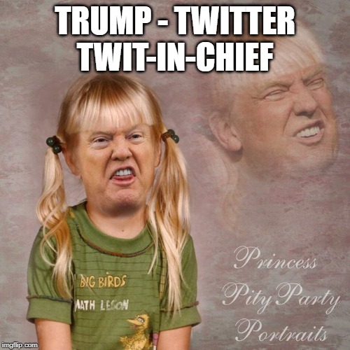 Trump Twit | TRUMP - TWITTER TWIT-IN-CHIEF | image tagged in trump twit | made w/ Imgflip meme maker