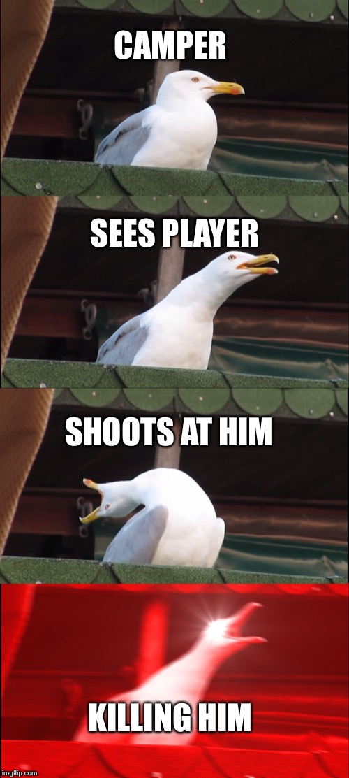 Inhaling Seagull | CAMPER; SEES PLAYER; SHOOTS AT HIM; KILLING HIM | image tagged in memes,inhaling seagull | made w/ Imgflip meme maker