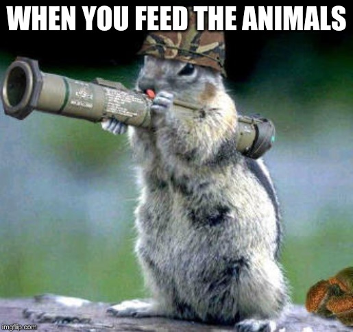 Bazooka Squirrel Meme | WHEN YOU FEED THE ANIMALS | image tagged in memes,bazooka squirrel | made w/ Imgflip meme maker