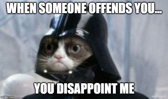 Darth Cat | WHEN SOMEONE OFFENDS YOU... YOU DISAPPOINT ME | image tagged in darth cat | made w/ Imgflip meme maker