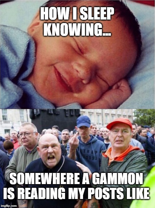 Sleeping gammon | HOW I SLEEP KNOWING... SOMEWHERE A GAMMON IS READING MY POSTS LIKE | image tagged in sleeping,sleeping baby laughing | made w/ Imgflip meme maker