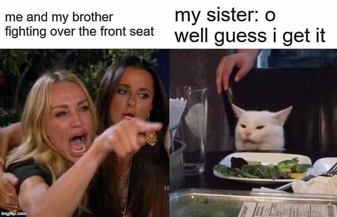 Woman Yelling At Cat | me and my brother fighting over the front seat; my sister: o well guess i get it | image tagged in memes,woman yelling at cat | made w/ Imgflip meme maker