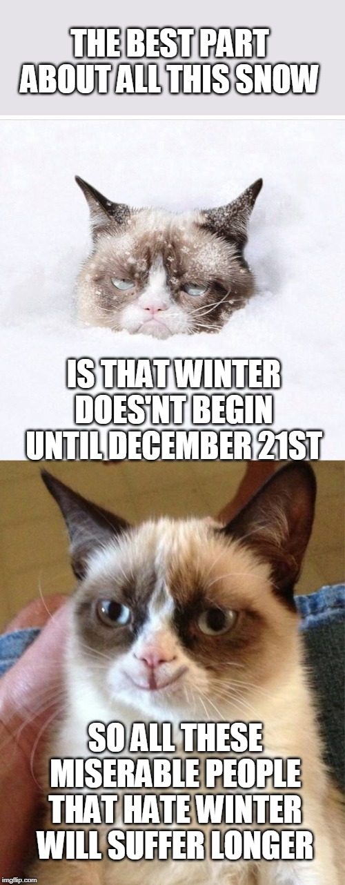 WINTER HAS'NT EVEN STARTED YET | THE BEST PART ABOUT ALL THIS SNOW; IS THAT WINTER DOES'NT BEGIN UNTIL DECEMBER 21ST; SO ALL THESE MISERABLE PEOPLE THAT HATE WINTER WILL SUFFER LONGER | image tagged in grumpy/happy cat,grumpy cat snow,winter,cats,memes | made w/ Imgflip meme maker