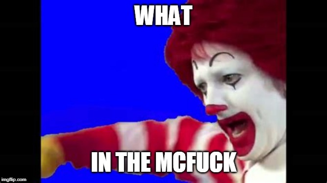 WHAT IN THE MCF**K | made w/ Imgflip meme maker