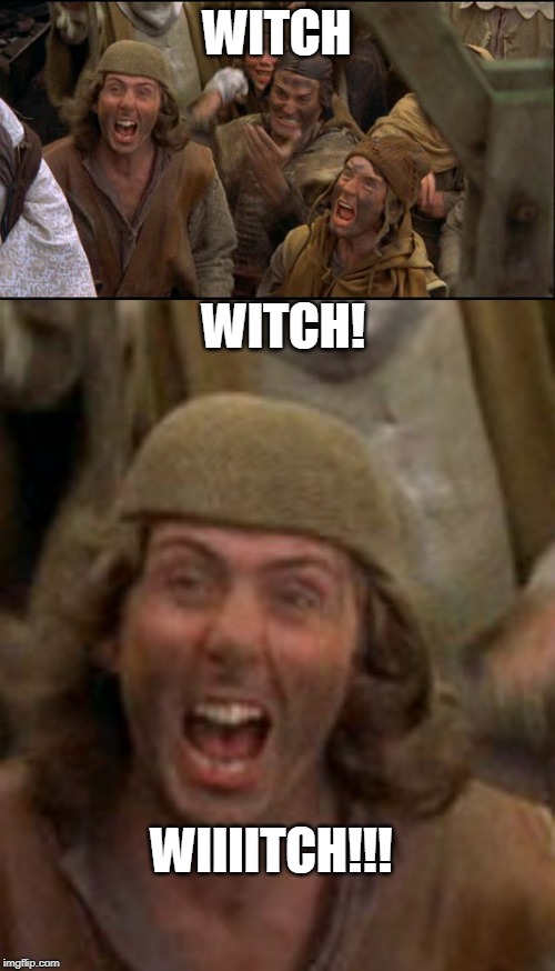 WITCH WITCH! WIIIITCH!!! | image tagged in monty python witch | made w/ Imgflip meme maker