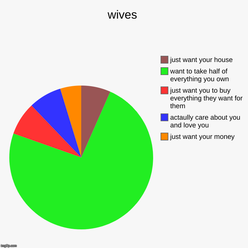 wives | just want your money, actaully care about you and love you, just want you to buy everything they want for them, want to take half of | image tagged in charts,pie charts | made w/ Imgflip chart maker