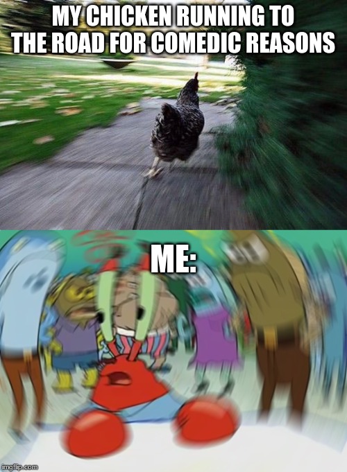 MY CHICKEN RUNNING TO THE ROAD FOR COMEDIC REASONS ME: | image tagged in memes,mr krabs blur meme,chicken running | made w/ Imgflip meme maker