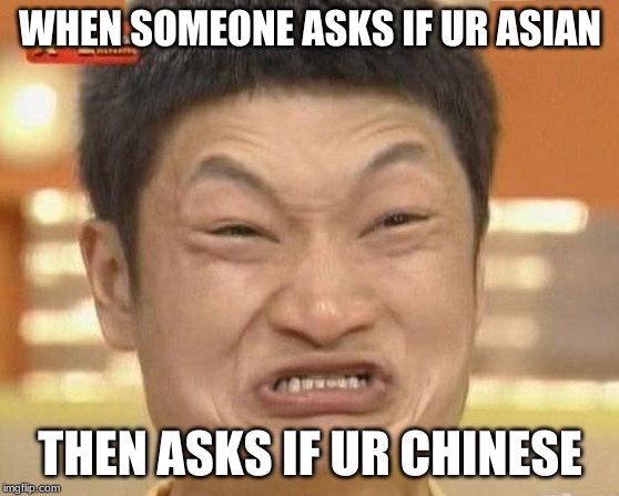 It be like that sometimes | WHEN SOMEONE ASKS IF UR ASIAN; THEN ASKS IF UR CHINESE | image tagged in bruh | made w/ Imgflip meme maker