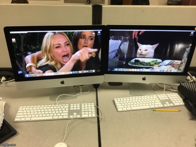 We are gonna get an A | image tagged in cats share food | made w/ Imgflip meme maker