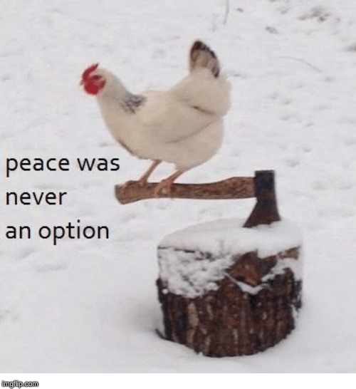 Peace was never an option chicken | image tagged in peace was never an option chicken | made w/ Imgflip meme maker