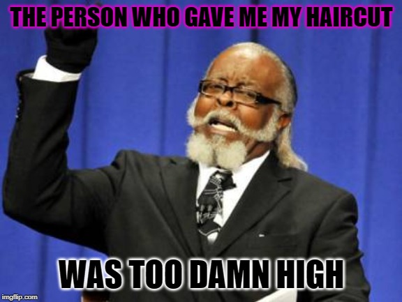 Too Damn High | THE PERSON WHO GAVE ME MY HAIRCUT; WAS TOO DAMN HIGH | image tagged in memes,too damn high | made w/ Imgflip meme maker