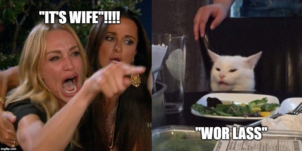 Woman yelling at cat | "IT'S WIFE"!!!! "WOR LASS" | image tagged in woman yelling at cat | made w/ Imgflip meme maker