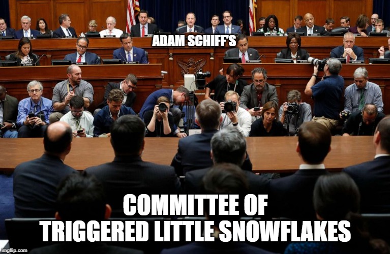 The Committee of Unintelligence | ADAM SCHIFF'S; COMMITTEE OF TRIGGERED LITTLE SNOWFLAKES | image tagged in adam schiff,impeachment scam,abort democrats,coup | made w/ Imgflip meme maker