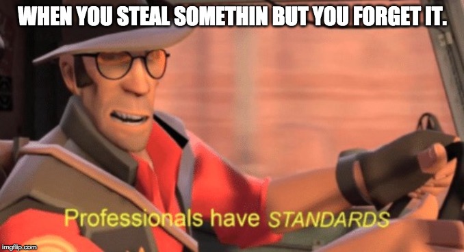 Professionals have standards | WHEN YOU STEAL SOMETHIN BUT YOU FORGET IT. | image tagged in professionals have standards | made w/ Imgflip meme maker