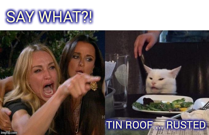 Love Shack | SAY WHAT?! TIN ROOF ... RUSTED | image tagged in memes,woman yelling at cat,love,1980's,1990's,rock and roll | made w/ Imgflip meme maker