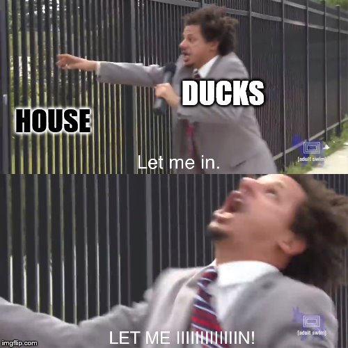 let me in | DUCKS HOUSE | image tagged in let me in | made w/ Imgflip meme maker