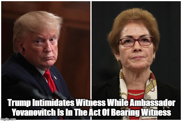 Trump Intimidates Witness While Ambassador Yovanovitch Is In The Act Of Bearing Witness | made w/ Imgflip meme maker