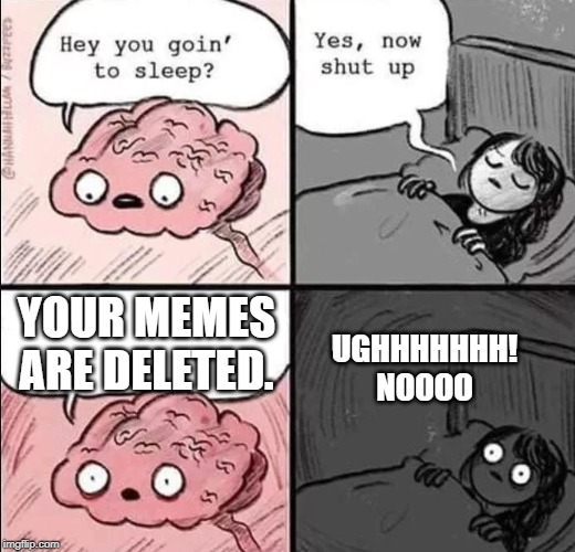 waking up brain | YOUR MEMES ARE DELETED. UGHHHHHHH! NOOOO | image tagged in waking up brain | made w/ Imgflip meme maker