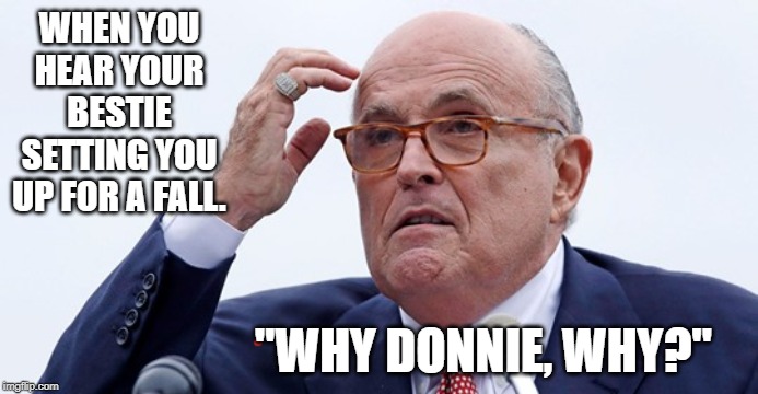 rudy | WHEN YOU HEAR YOUR BESTIE SETTING YOU UP FOR A FALL. "WHY DONNIE, WHY?" | image tagged in rudy | made w/ Imgflip meme maker