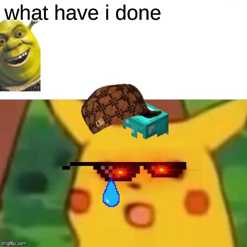 Surprised Pikachu | what have i done | image tagged in memes,surprised pikachu | made w/ Imgflip meme maker