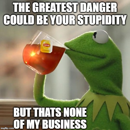 But That's None Of My Business | THE GREATEST DANGER COULD BE YOUR STUPIDITY; BUT THATS NONE OF MY BUSINESS | image tagged in memes,but thats none of my business,kermit the frog | made w/ Imgflip meme maker